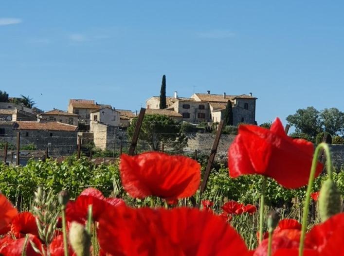 Lecques La Vivienda Bed & Breakfast エクステリア 写真